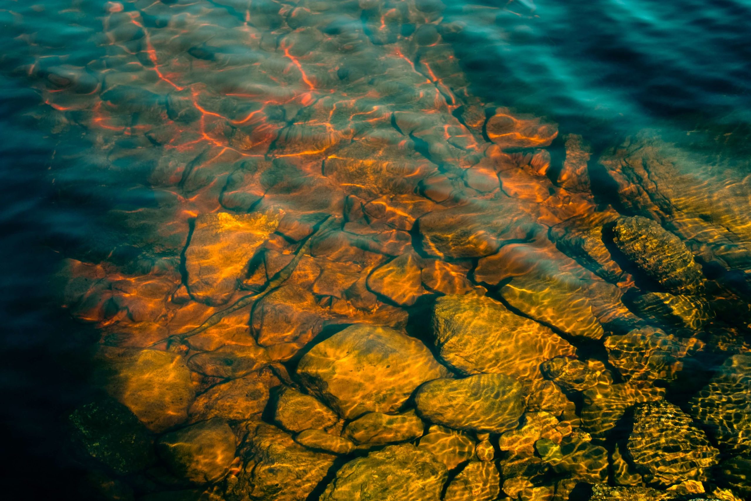 Rocky landscape under water in Halifax, Nova Scotia